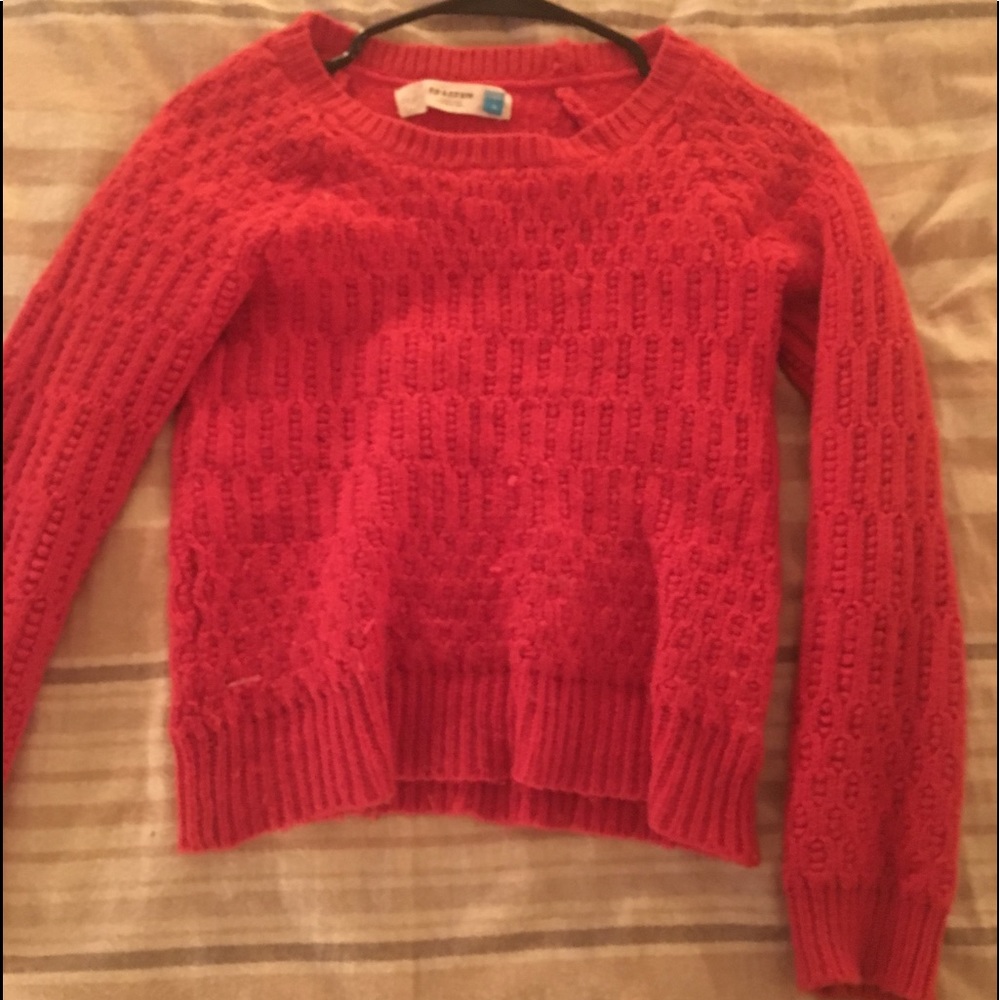 Sparrow Red Sweater